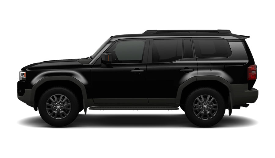 ニュートラルブラック〈229〉サイド