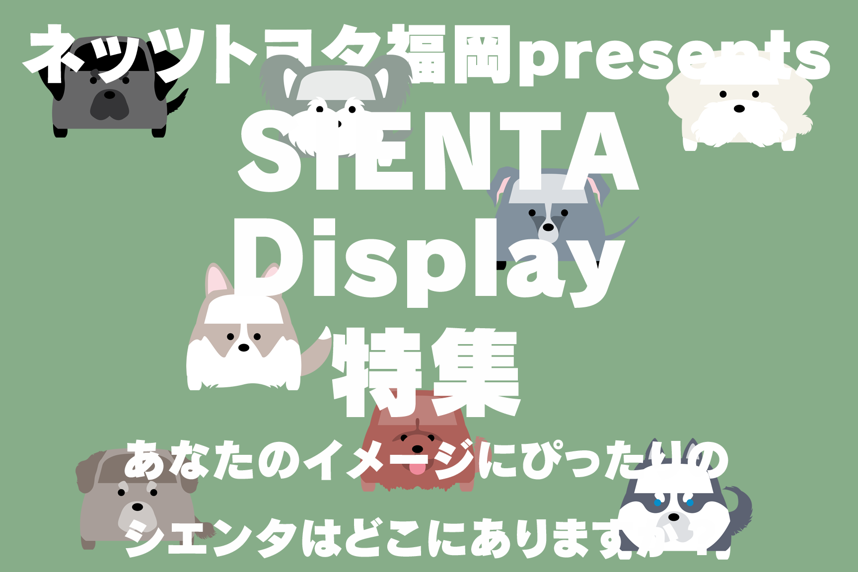 シエンタDisplay