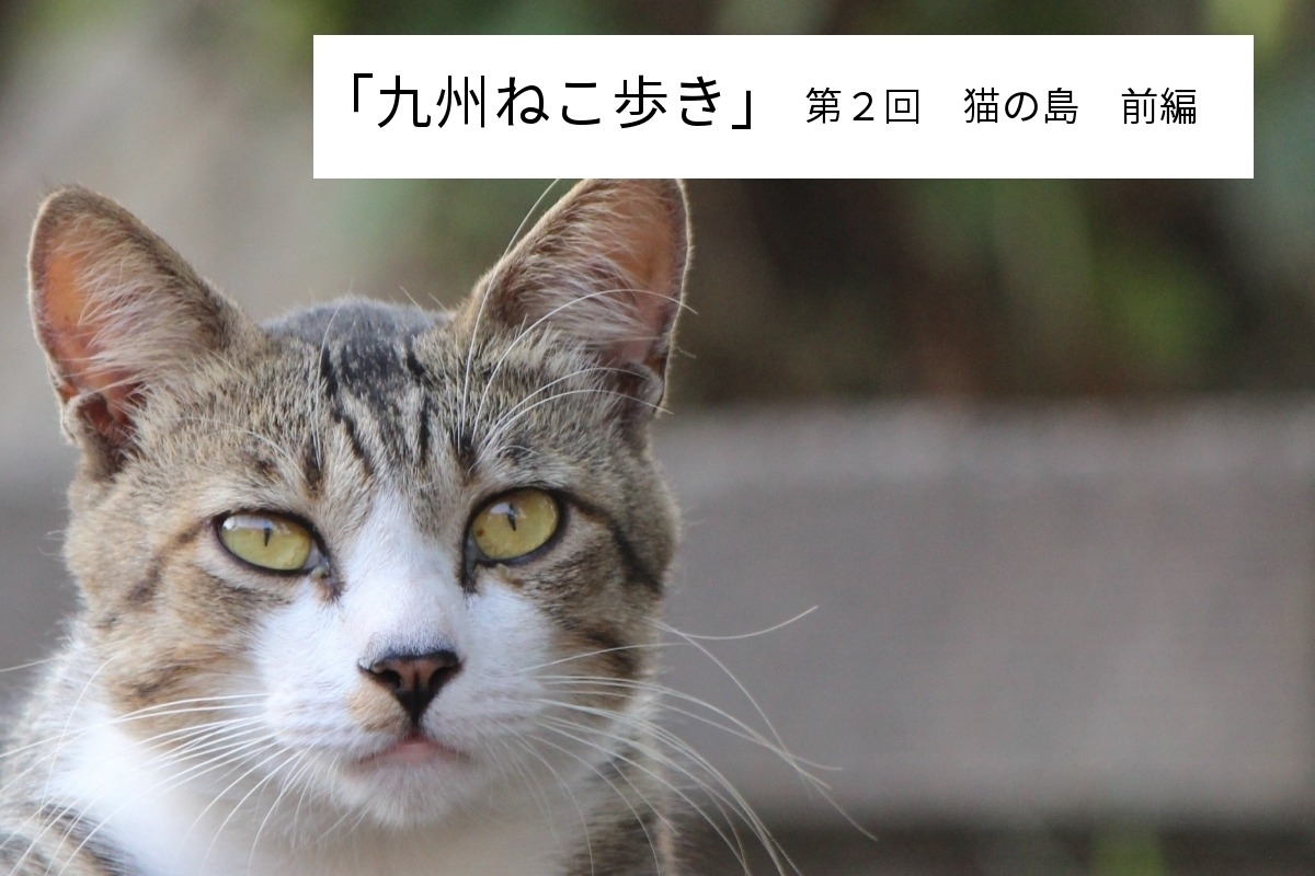 九州ねこ歩き 猫の島 前編